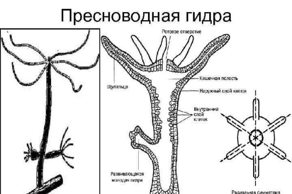 Кракен даркнет рекламы